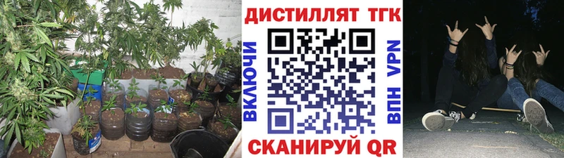 ТГК гашишное масло  Маркс 