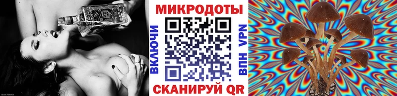 ссылка на мегу вход Маркс Галлюциногенные грибы Psilocybe наркотики